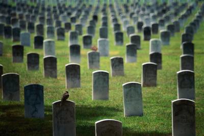 Estate planning